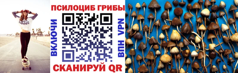 цена наркотик  Свободный  Галлюциногенные грибы Psilocybine cubensis 