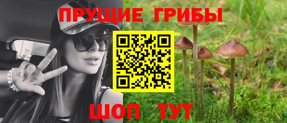 Галлюциногенные грибы прущие грибы  Галлюциногенные грибы мухоморы  Свободный  наркотики  Вход с VPN 